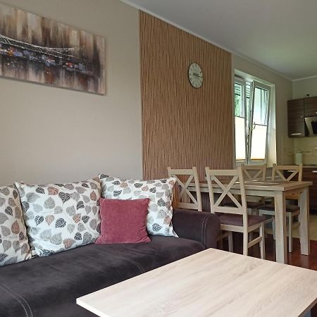 Apartament Horyzont Szklarska Poreba Extérieur photo